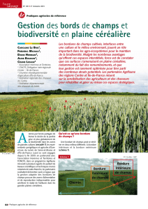 Gestion des bords de champs et biodiversité en plaine céréalière