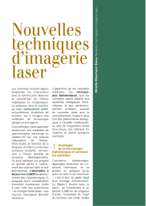 Nouvelles techniques d`imagerie laser