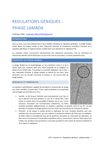 Le phage lambda