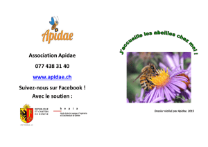 Association Apidae