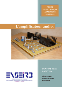 L`amplificateur audio.