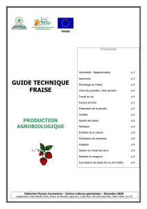 Guide technique fraise : production agrobiologique