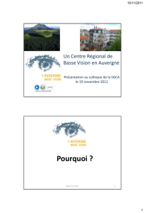 «Un Centre Régional Basse Vision » en Auvergne