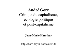 2009, André Gorz, Critique du capitalisme, écologie politique et post