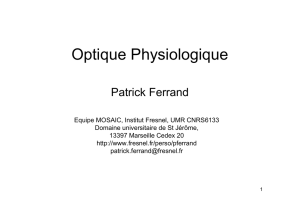 Optique Physiologique