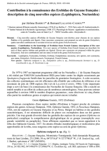 Erebidae de Guyane française - Société Entomologique de France