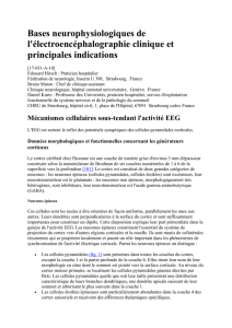 Bases neurophysiologiques de l`EEG