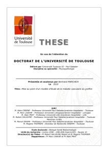 DOCTORAT DE L`UNIVERSITÉ DE TOULOUSE DOCTORAT DE L