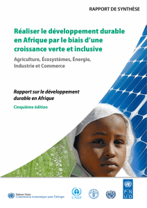 Réaliser le développement durable en Afrique par le biais d`une