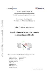 Applications de la force de Lorentz en acoustique médicale arXiv