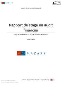 Rapport de stage en audit financier