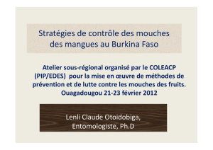 Stratégies de contrôle des mouches d k des mangues au Burkina Faso
