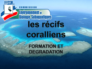 Formation du calcaire corallien