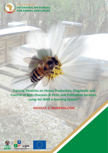 Training Modules on Honey Production, Diagnostic and - AU-IBAR