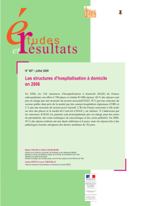 Les structures d`hospitalisation à domicile en 2006