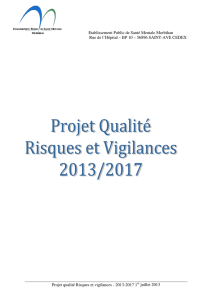 Projet qualité Risques et vigilances