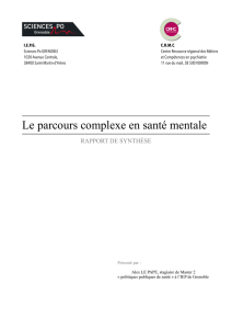 Rapport de synthèse "Le Parcours complexe en santé mentale"