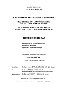 L`immunité cellulaire T - Service Central d`Authentification Université