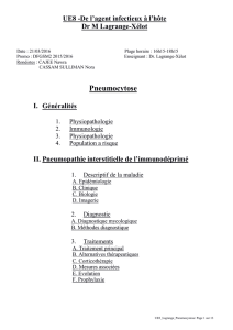 UE8-Lagrange-Pneumocytose