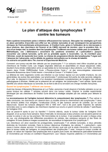 Le plan d`attaque des lymphocytes T contre les tumeurs