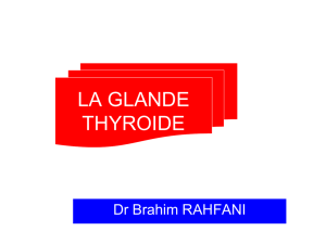 la glande thyroide - Dr.RAHFANI BRAHIM