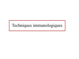 TD immuno techniques