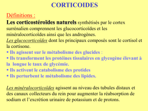 Les corticoïdes de synthèse