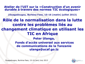 (Ouagadougou, Burkina Faso, 15-16 (matin) juillet 2013)