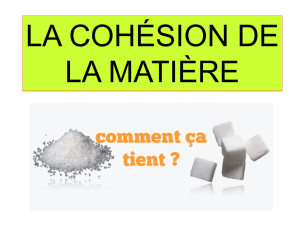 19-Cohesion_de_la_matiere