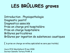 BRULURES_IFSI_2008
