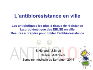Antibiorésistance
