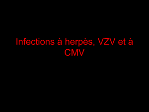 Infections à herpes virus, VZV et CMV