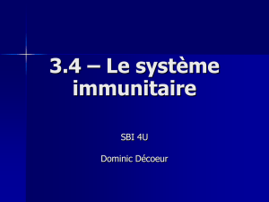 2.4 – Homéostasie du système immunitaire