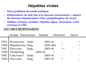 Virus de l`hépatite B
