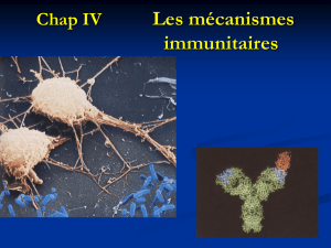 Chap_IV___________Les_mecanismes_immunitaires0