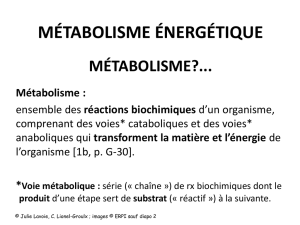 Intro métabolisme + fermentation + respiration cellulaire