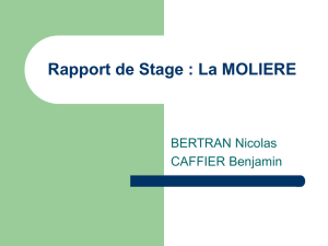 Rapport de Stage : La MOLIERE