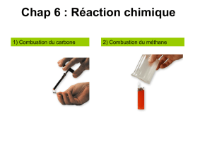 Chap 6 : Réaction chimique
