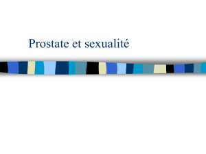 Prostate et sexualité