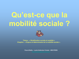Une » mobilité sociale ou « des » mobilités sociales