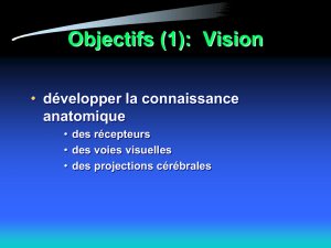 Objectifs: Vision