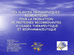 les plantes transgeniques - Université Paris-Sud