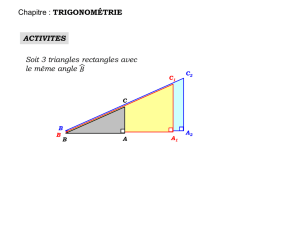 Comment calculer des dimensions dans un triangle rectangle en