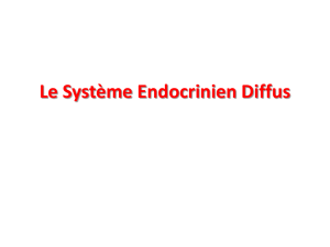 Le Système Endocrinien Diffus