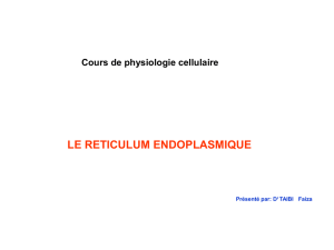 Downloads/Reticulum endoplasmique.pps