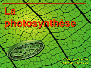 Présentation Pw-Point sur la photosynthèse (Source: Cégep Sainte