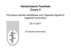 Herboristerie Familiale Cours 2 Principaux plantes bénéfiques pour