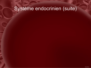 Suite du système endocrinien