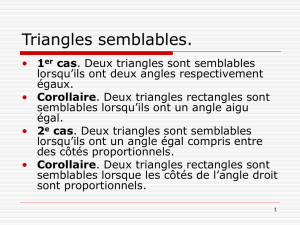 Théorème de Thales. Relations métriques dans les triangles.