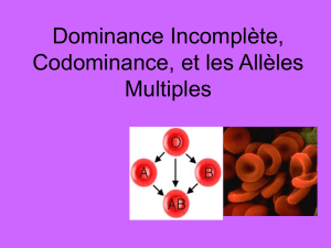 Dominance incomplète, Codominance et Allèles multiples